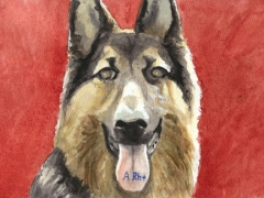 Staat und Recht, Schäferhund