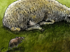 Rechteseite, Schaf und Maus