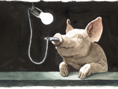 Staat und Recht, Schwein mit Glühbirne