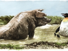 Staat und Recht, Schwein und Pinguin