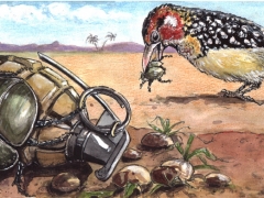 Rechteseite, Skarabäus, Granate