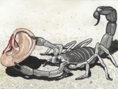 skorpion und ohr