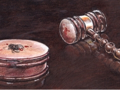 Rechteseite, Toto fliege