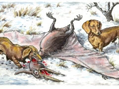 Rechteseite, Urvogel