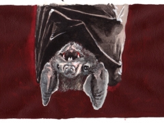 Staat-und-Recht, Vampir-Fledermaus