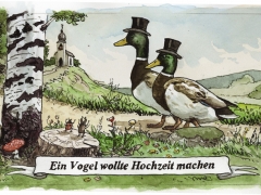 Staat und Recht, Homo-Ehe, schwule Erpel, Vogelhochzeit