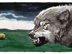 wolf und schaf
