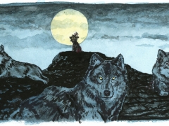 Staat und Recht, Wolfsrudel, Alphatie Schoßhund