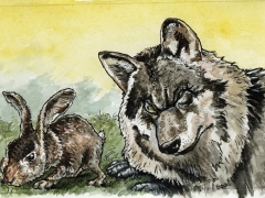 Rechteseite, Wolf, Häschen