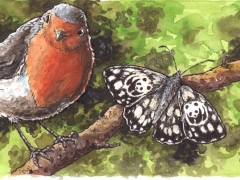 Rechteseite, WWF Schmetterling