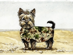 Staat und Recht, Yorkshire im Tarnanzug