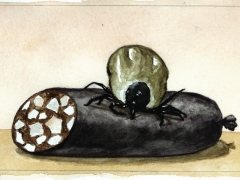 Staat und Recht, Zecke mit Blutwurst