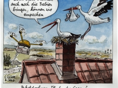 Drohne, Klapperstorch