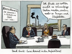 Frauenquote, Susi im Aufsichtsrat