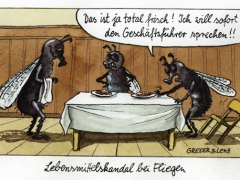 Lebensmittelskandal bei Fliegen