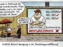 nichtwaehlerpartei