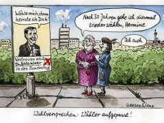 wahlversprechen
